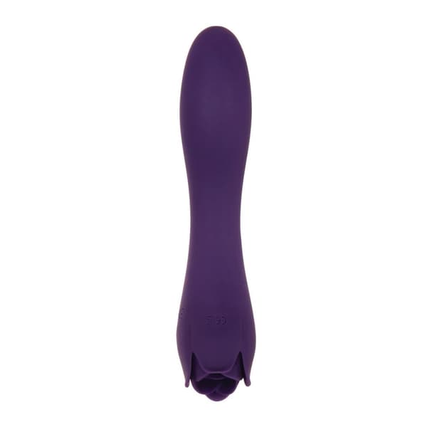 Vibrator Evolved Purpur