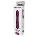 Pikkukuva 10 / 10: Vibraattori Dream Toys Essentials Purppura