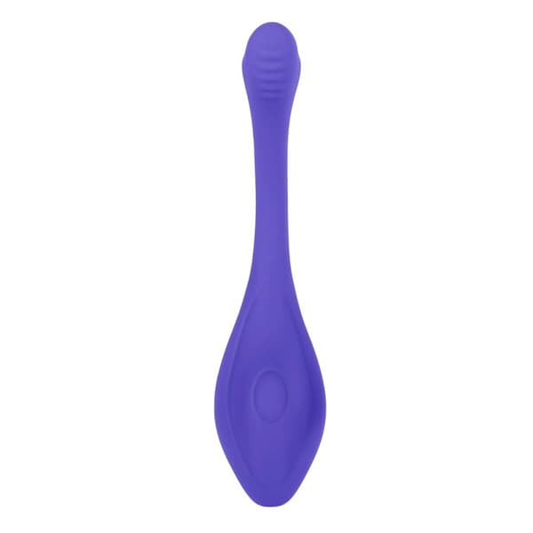Dual Stimulation Vibe- vibraattori Evolved Purppura