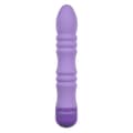 Miniatyrbild 1 av 6: Patronvibrator Evolved Purpur