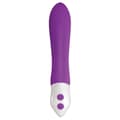 Miniatyrbild 4 av 9: Patronvibrator Evolved Purpur