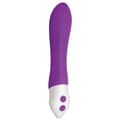 Miniatyrbild 2 av 9: Patronvibrator Evolved Purpur