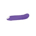 Miniatyrbild 5 av 11: G-spotvibrator Evolved Purpur