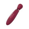 Pikkukuva 7 / 11: Eroottisten lelujen puhdistusaine Dream Toys Glam Purppura