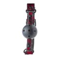 Miniatyrbild 5 av 11: Solid Ball Gag Dream Toys Blaze