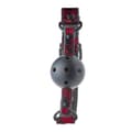 Miniatyrbild 6 av 11: Solid Ball Gag Dream Toys Blaze