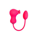 Miniatyrbillede 3 af 11: Par Massager Dream Toys Essentials