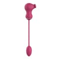 Miniatyrbillede 7 af 11: Par Massager Dream Toys Essentials
