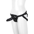 Miniatyrbild 2 av 8: Strap-on dildo Dream Toys Blaze