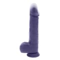 Miniatyrbild 2 av 11: Vibrator Evolved Purpur
