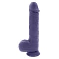 Miniatyrbild 1 av 11: Vibrator Evolved Purpur