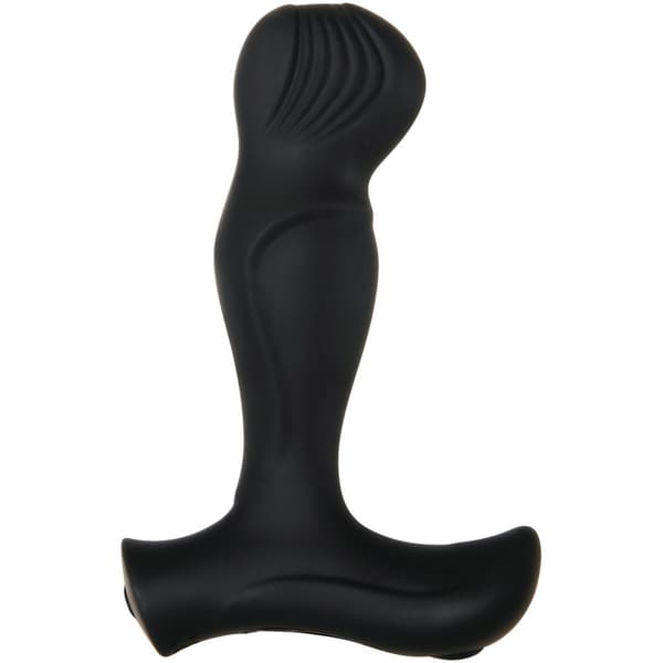 Anal vibrator Zero Tolerance Zero Tolerance Svart