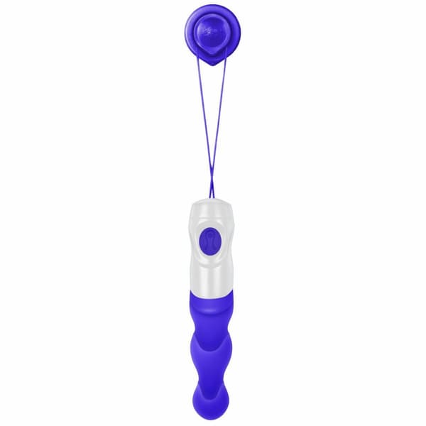 Anal vibrator Evolved Purpur