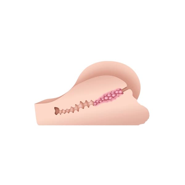 Udholdenhed Jack Ass Gender X Gender X Kød
