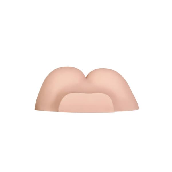 Udholdenhed Jack Ass Gender X Gender X Kød