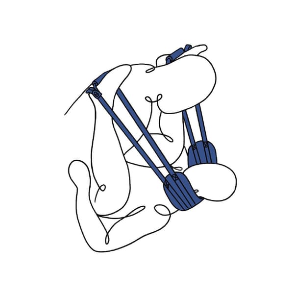 Säädettävä köysibondagesetti Sportsheets Pivot