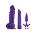 Pikkukuva 1 / 2: Luotivibraattori NS Novelties Purppura
