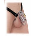 Pikkukuva 2 / 3: Chastity Penishäkki Pipedream Fetish Fantasy Extreme Hopeinen