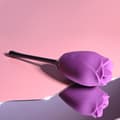 Miniatyrbild 3 av 11: Klitorisstimulator Playboy Playboy Purpur