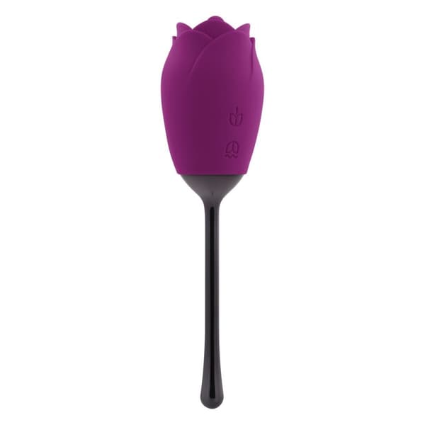 Klitorisstimulator Playboy Playboy Purpur