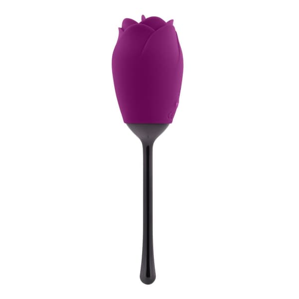 Klitorisstimulator Playboy Playboy Purpur