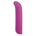 Miniatyrbillede 1 af 2: G-Punkt Vibrator NMC Rød 12,7 cm