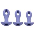 Miniatyrbild 7 av 11: Analplugg Evolved Purpur (8,9 cm) (9,5 cm) (10,1 cm)