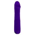 Pikkukuva 2 / 11: Klassinen vibraattori Evolved Selopa Purppura