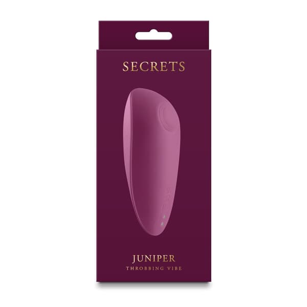 Erotisk massager NS Novelties Secrets Rød
