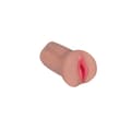 Miniatyrbild 3 av 4: Endurance Jack Ass XR Sophia
