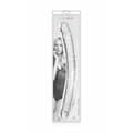 Miniatyrbild 3 av 3: Dildo Pure Jelly