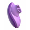 Miniatyrbillede 5 af 5: Massager Pipedream Lilla