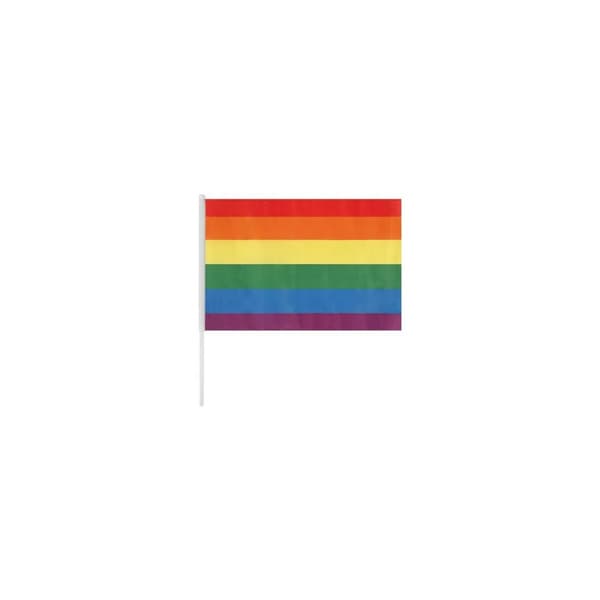 Flag Divertysex 20 x 15 cm Multifarvet 12 Dele