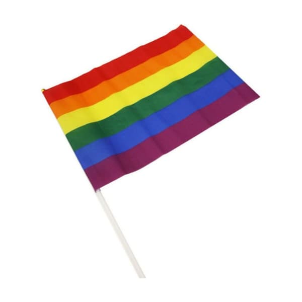 Flag Divertysex 30 x 20 cm Multifarvet 12 Dele