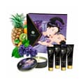 Miniatyrbild 1 av 9: Lustask Large Pleasure Kit Shunga SECRET GEISHA EXOTIC FRUITS