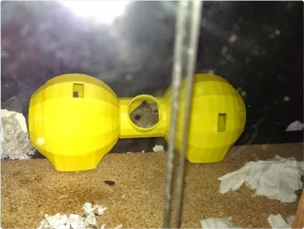 Large, Hamster Igloo, house for hamster, rat,animals, (4 sizes)