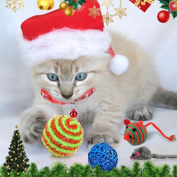 Adventskalender för katt 2024 Julkalender 24 kattleksaker Katthalsband Leksak Möss Katter Julklapp Kattälskare