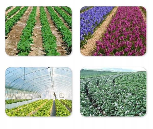 Agrotekstil med huller Sort folie huller kimplanter til ukrudt 10m