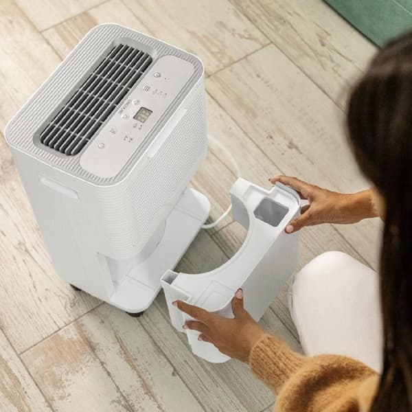 Cecotec 16 L/day dehumidifier with 2 L removable tank, wifi control, laundry drying function and 24 hour timer.