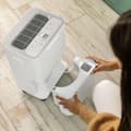 Miniatyrbild 3 av 5: Cecotec 16 L/day dehumidifier with 2 L removable tank, wifi control, laundry drying function and 24 hour timer.