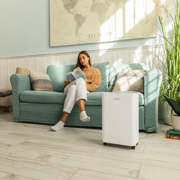 Cecotec 16 L/day dehumidifier with 2 L removable tank, wifi control, laundry drying function and 24 hour timer.