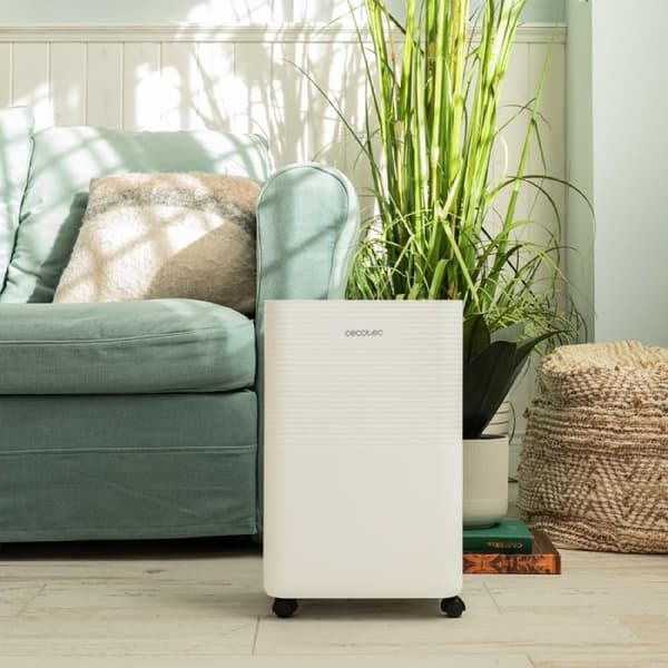 Cecotec 16 L/day dehumidifier with 2 L removable tank, wifi control, laundry drying function and 24 hour timer.