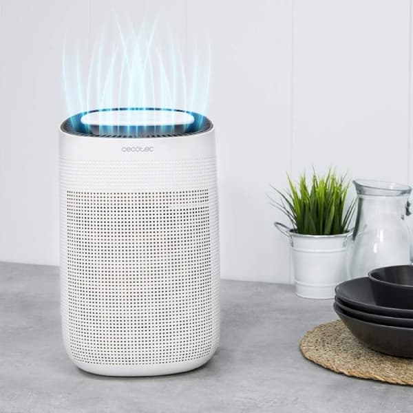 Cecotec Design Peltier dehumidifier and purifier with dehumidifying capacity of 750 ml/day. Removable high-efficiency filter 1-litre large tank. 2 sp