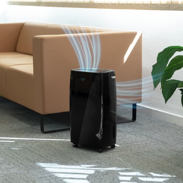 Cecotec 10L/day dehumidifier with 2.5-litre removable tank. R290 gas. Quiet. Humidity adjustment. 24-hour timer. Humidity and room temperature sensor