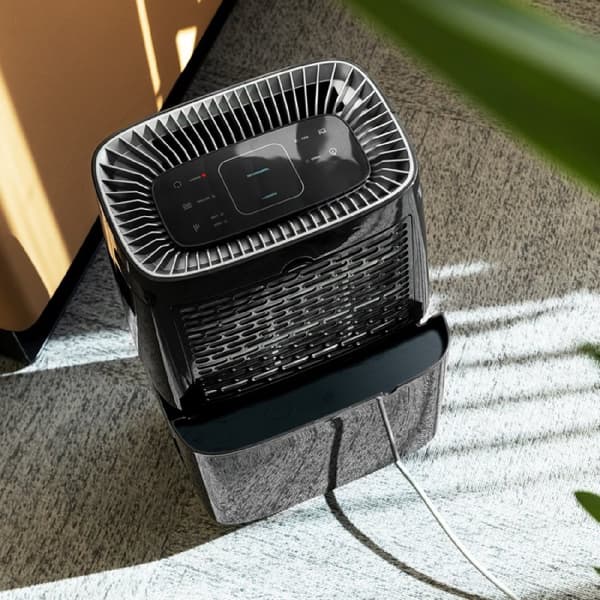 Cecotec 10L/day dehumidifier with 2.5-litre removable tank. R290 gas. Quiet. Humidity adjustment. 24-hour timer. Humidity and room temperature sensor
