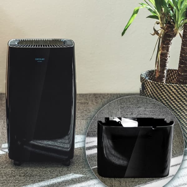 Cecotec 10L/day dehumidifier with 2.5-litre removable tank. R290 gas. Quiet. Humidity adjustment. 24-hour timer. Humidity and room temperature sensor