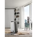 Miniatyrbild 5 av 6: DELONGHI DNS 65 Luftavfuktare 6 liter/dag Tvättfunktion -Techno Zeolite - Tyst: 34dB