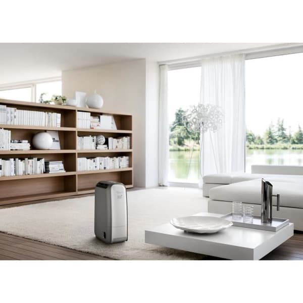 DELONGHI - DNS 80 luftavfuktare - 2,8L kapacitet - Zeolitteknologi - 34dB - Vit/Grå