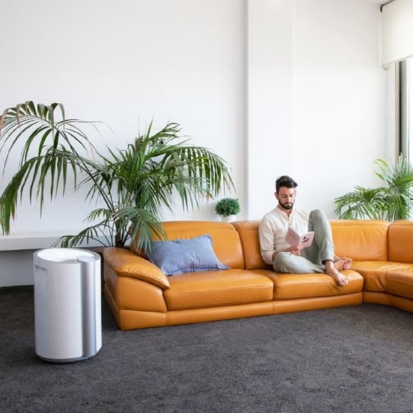 Avfuktare - Cecotec - BigDry 9000 Professionell Ansluten - Wi-Fi - 20 L/dag - 90 m²