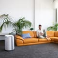 Miniatyrbild 2 av 5: Avfuktare - Cecotec - BigDry 9000 Professionell Ansluten - Wi-Fi - 20 L/dag - 90 m²